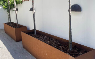 Plantekasser